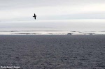 2008-07-22-001.jpg
