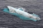 2008-07-22-003.jpg